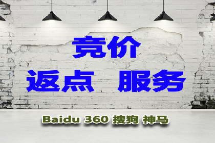 竞价推广公司案例：揭秘成功背后的秘密
